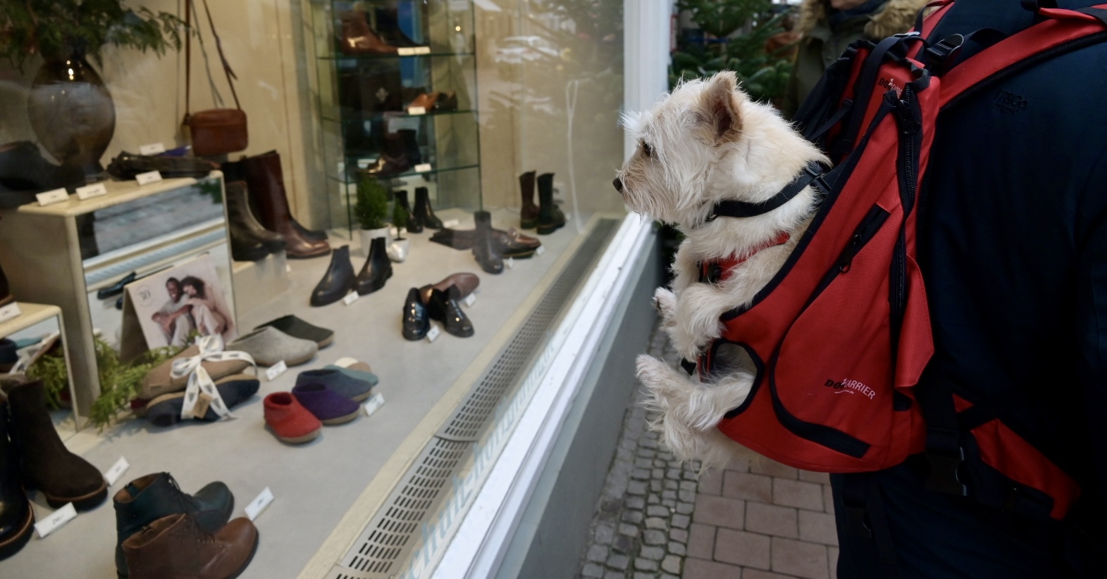 wenn Herrchen den Bedürfnissen vom Weibchen nachkommt