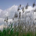 Wenn Himmel und Erde verschmelzen