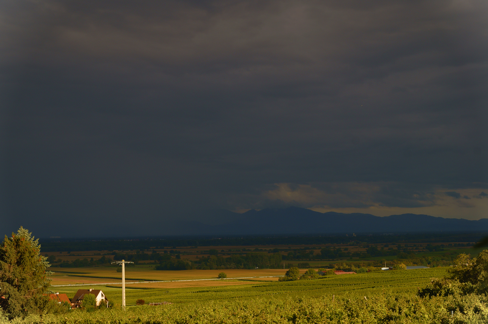 Wenn Himmel und Schwarzwald eins werden  23.08.2014