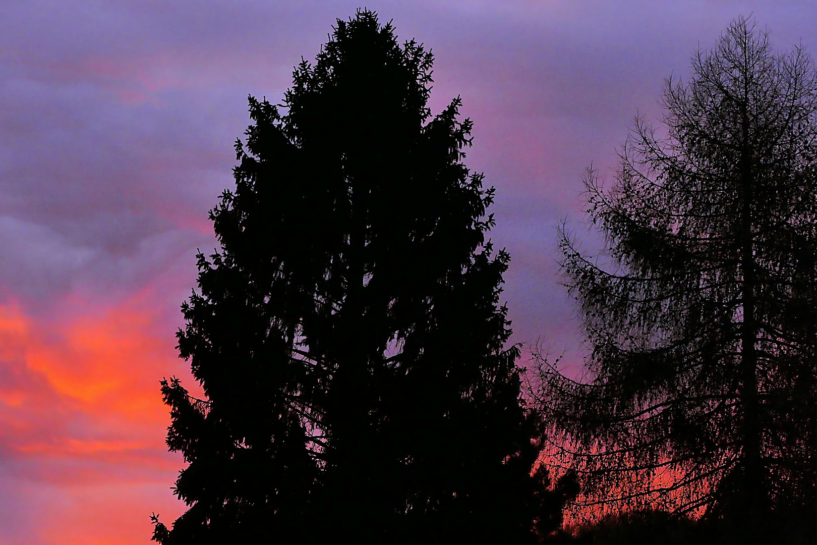 wenn hinter den Bäumen der Himmel brennt