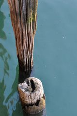 Wenn Holz das Wasser küsst