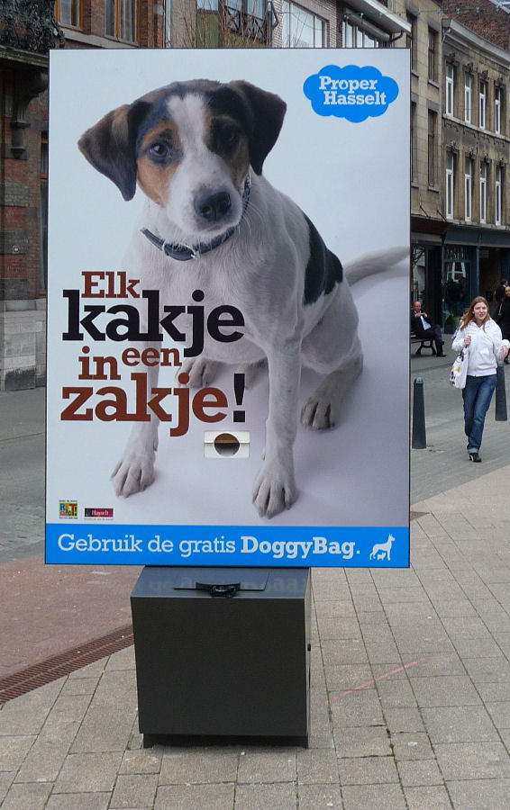 Wenn Hunde auf der Straße k.......,