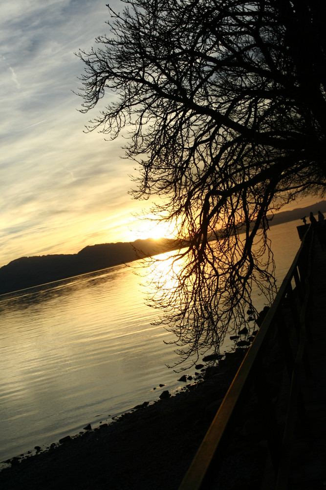 Wenn Ich den Bodensee seh brauch Ich kein Meer mehr