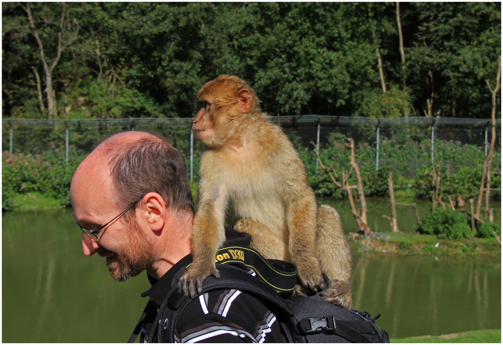 ... wenn ich die Nikon nicht bekomme, dann schließe ich halt Freundschaft mit Peter.