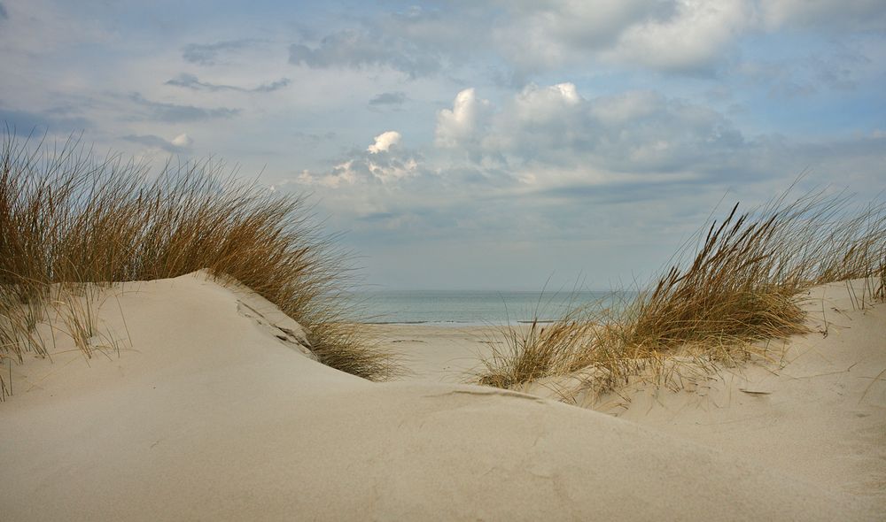 Wenn ich die See sehe brauch ich kein Meer mehr