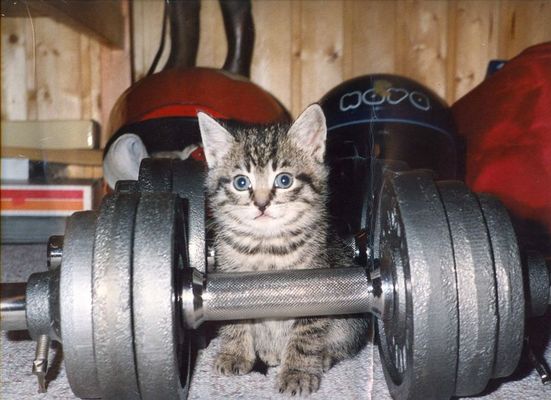 Wenn ich einmal groß bin...