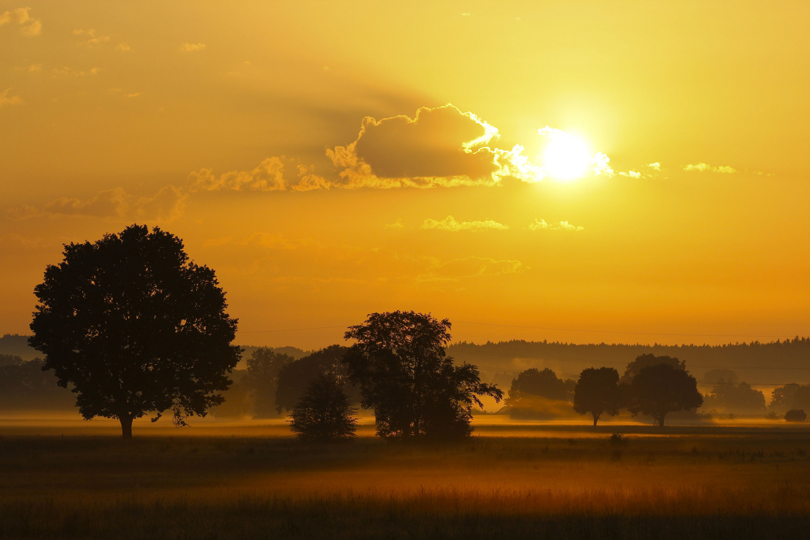 wenn ich einmal reich wär,hätte ich wohl die zeit jeden morgen sonnenaufgänge zu fotografieren