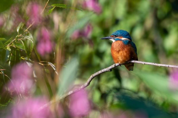 Wenn ich mal groß bin…