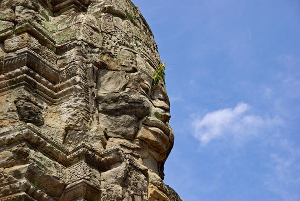 Wenn ihr wüsstet ....
