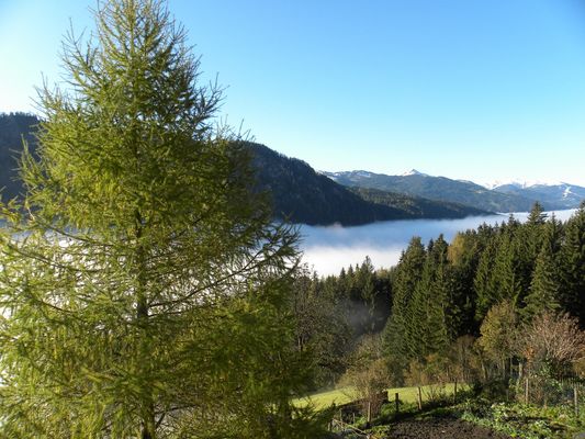 Wenn im Tal der Nebel zieht...