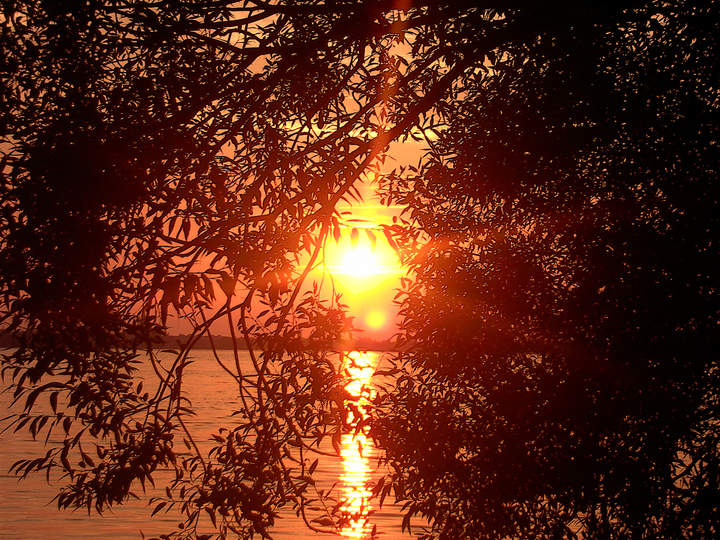 Wenn in Mecklenburg-Vorpommern die rote Sonne....