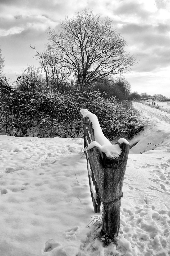 Wenn jetzt alle Winterbilder einstellen, dann will ich auch