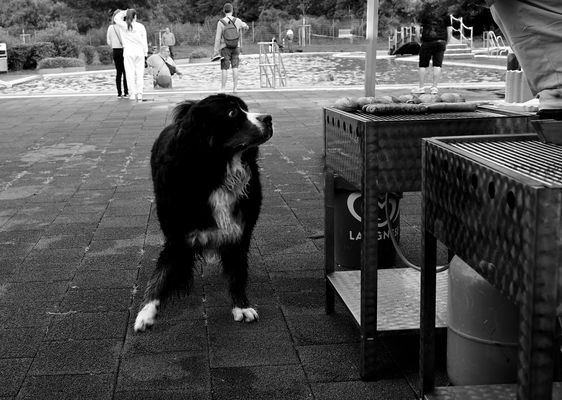 Wenn jetzt keine runter fällt, dann hole ich mir eine 