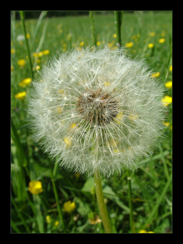 Wenn jetzt noch Wind wäre... (2)