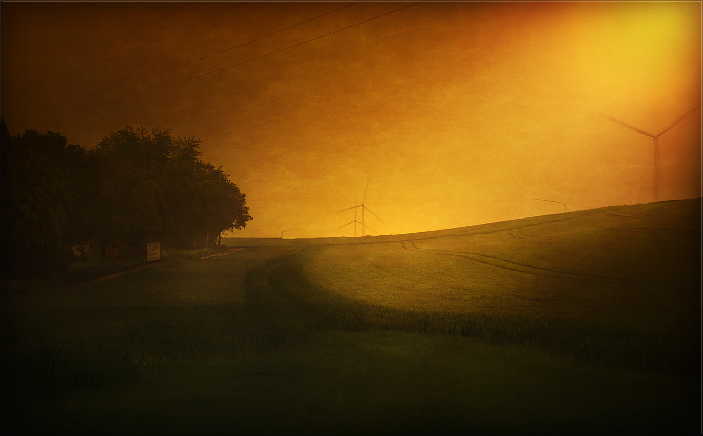 wenn landschaft mit licht gefüllt wird ...