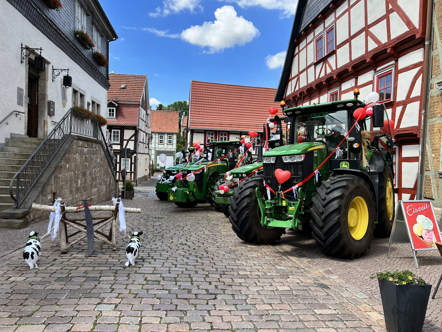 ...wenn Landwirte heiraten...Ehrengarde