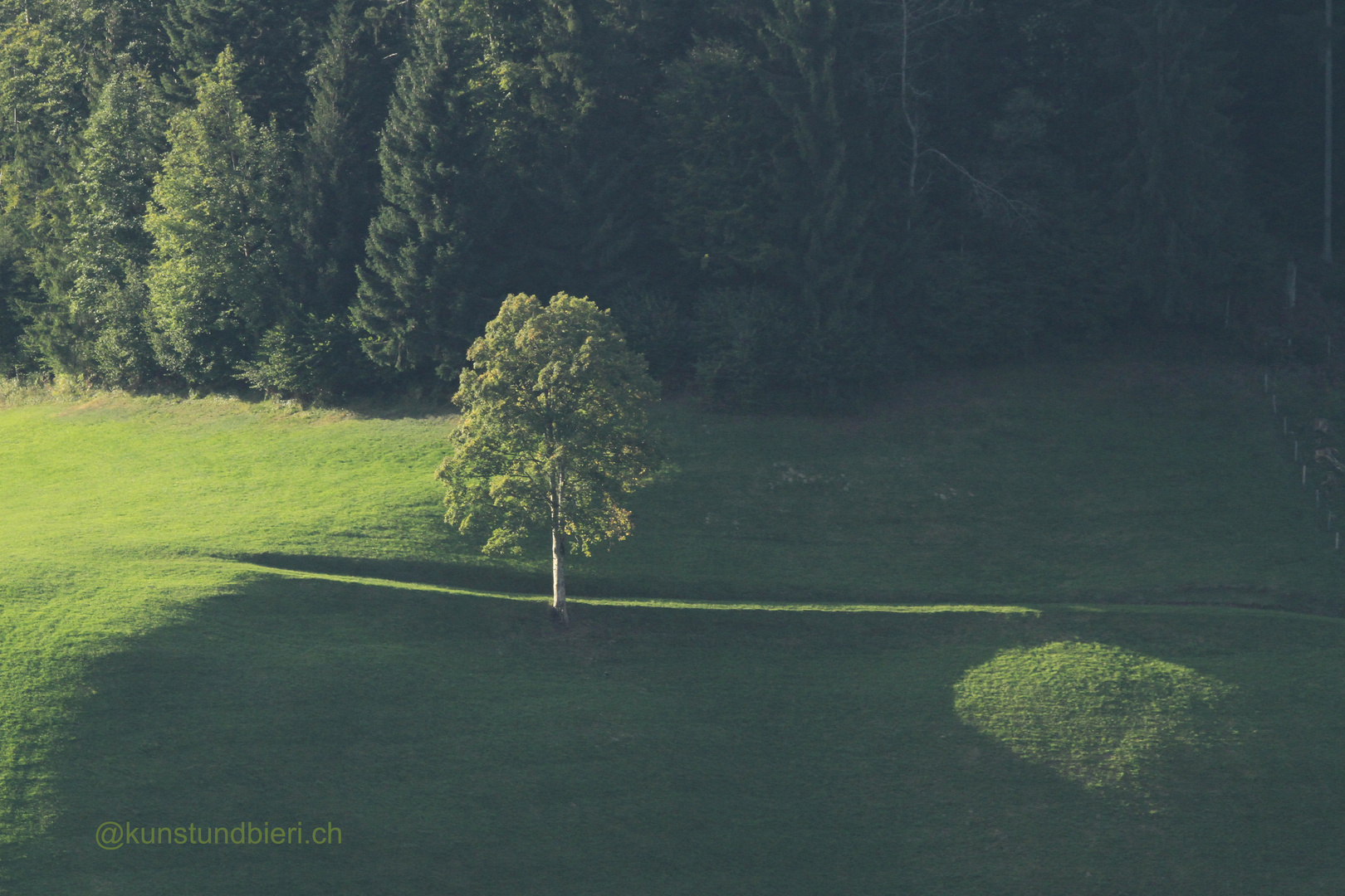 wenn LICHT "Schatten" wirft