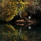 wenn Liebe reflektiert (Crestasee/Graubünden/Schweiz)