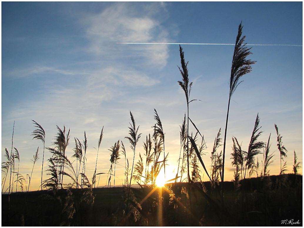 Wenn mal die Sonne sich zeigt ,