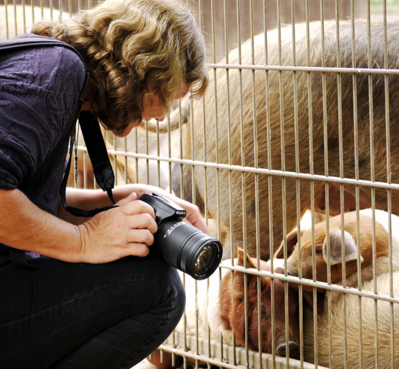 wenn man das fotografieren vergißt...:)