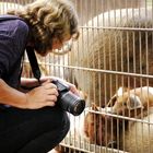 wenn man das fotografieren vergißt...:)