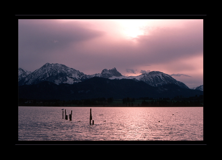 Wenn man den Schnee schon riechen kann... 2#