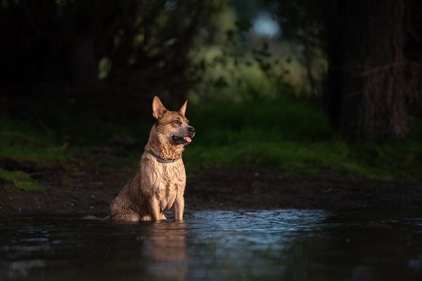 Wenn man heiß ist....