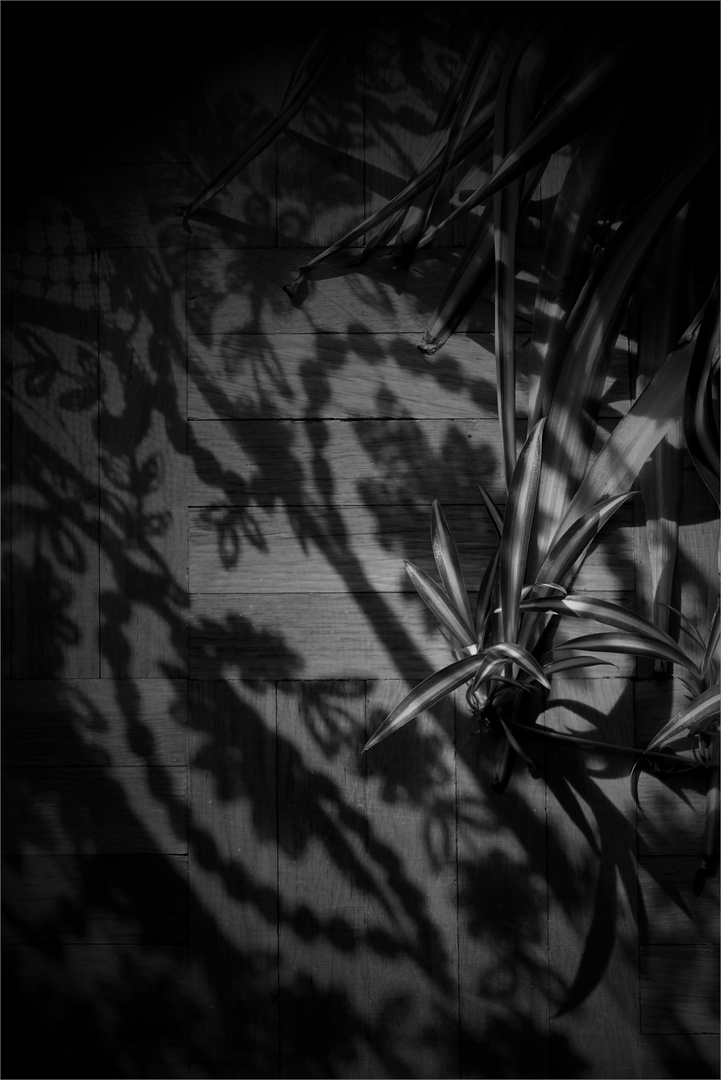Wenn man schon am Boden liegt Foto & Bild spezial, schatten, sw