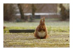 Wenn man schon Frühmorgens......