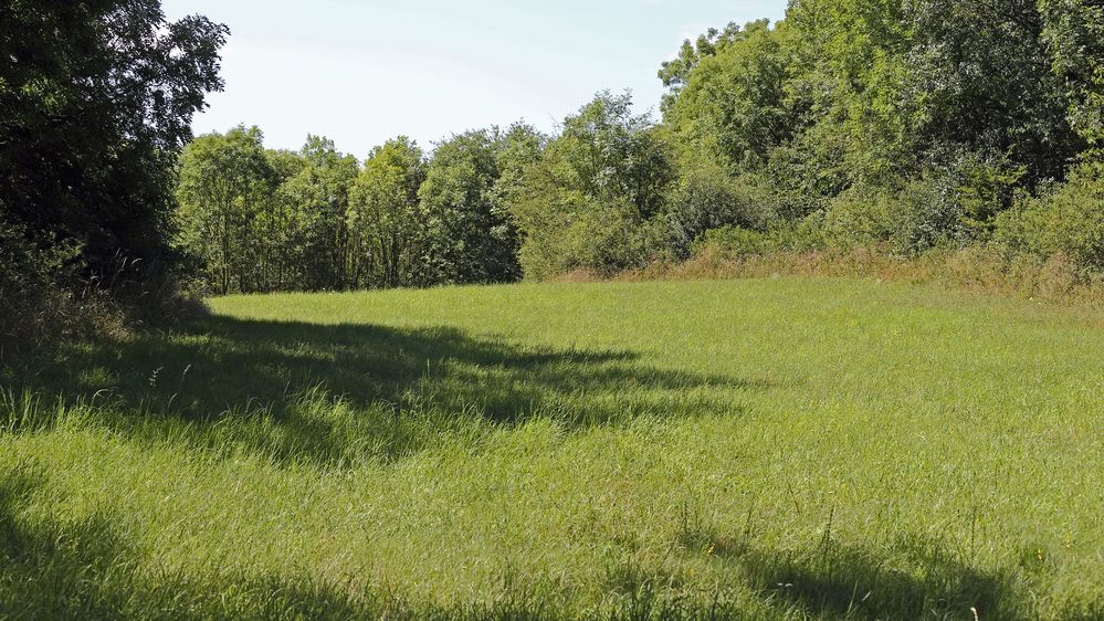 Wenn man sich hier irgedwo an einer der vier Seiten durch die Büsche und Bäume gearbeitet hat...