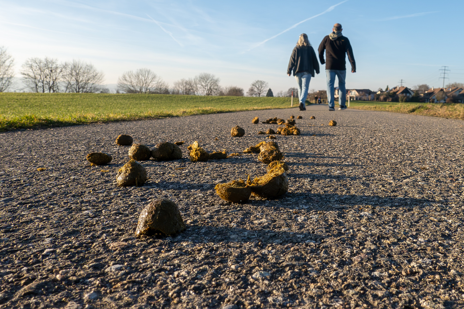 Wenn Menschen auf die Erde spucken, bespeien sie sich selbst!