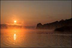 Wenn morgens die Nebel steigen..