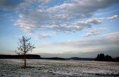 Wenn morgens noch der Mond scheint!