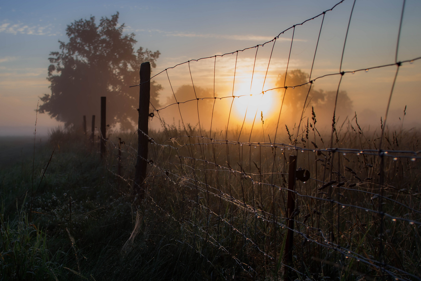 Wenn Nebel ist,...