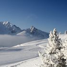 Wenn Nebel, Wind und Kälte aufeinander treffen.....