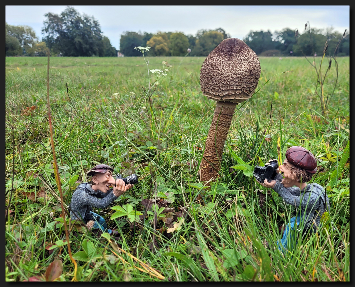 ...Wenn nichts über ein Pilz (s) geht...  ;o)))