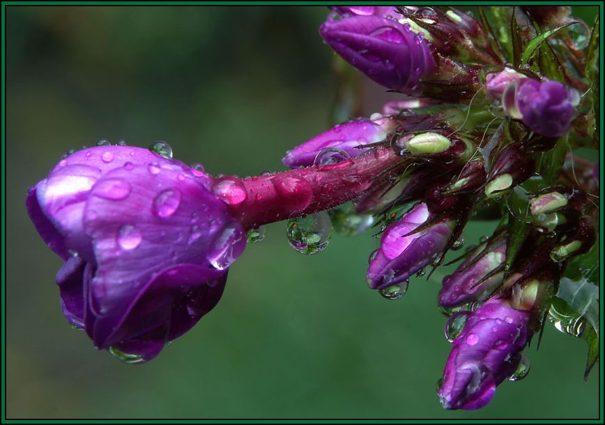 wenn regen rinnt...