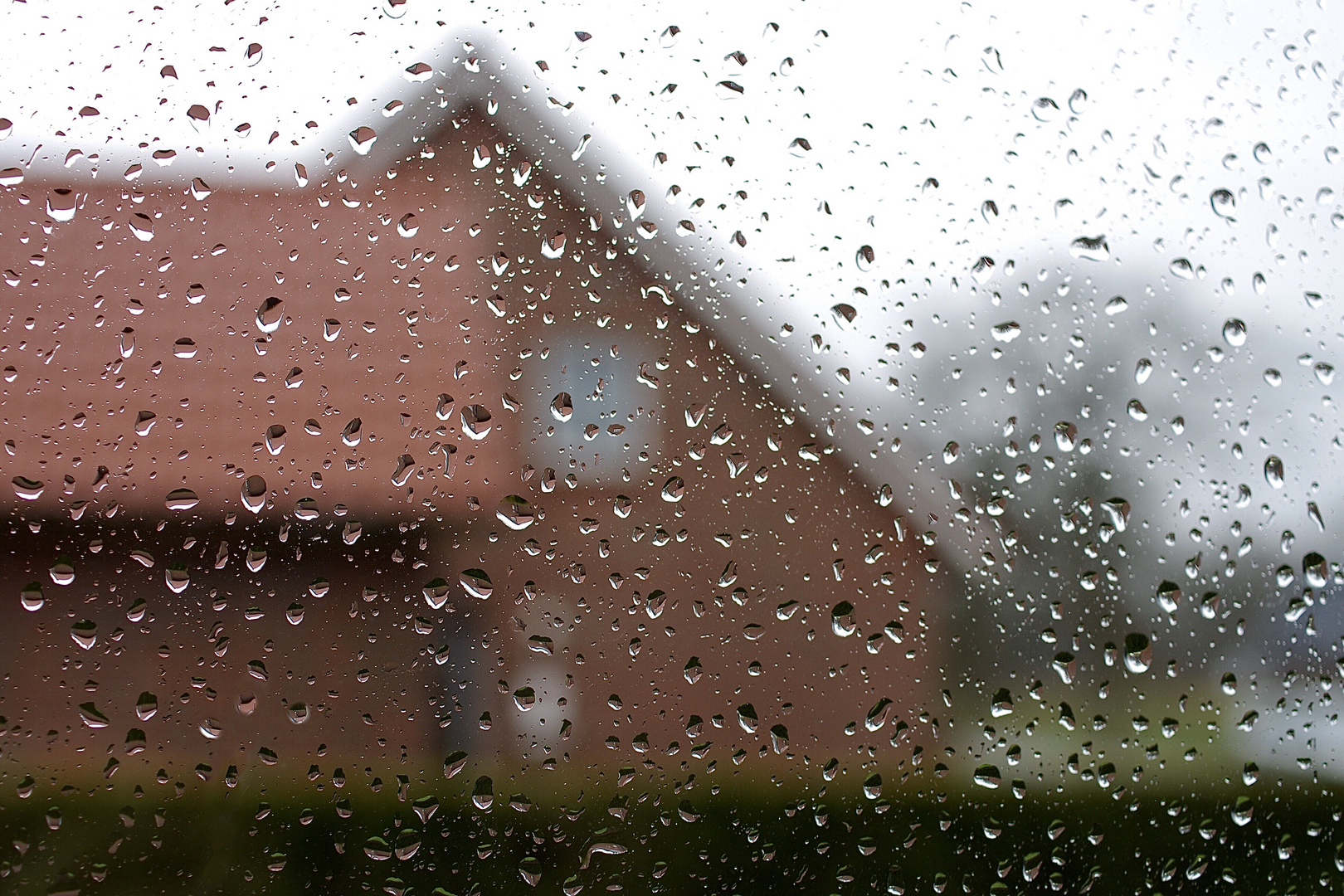 Wenn Regentropfen ans Fenster klopfen...