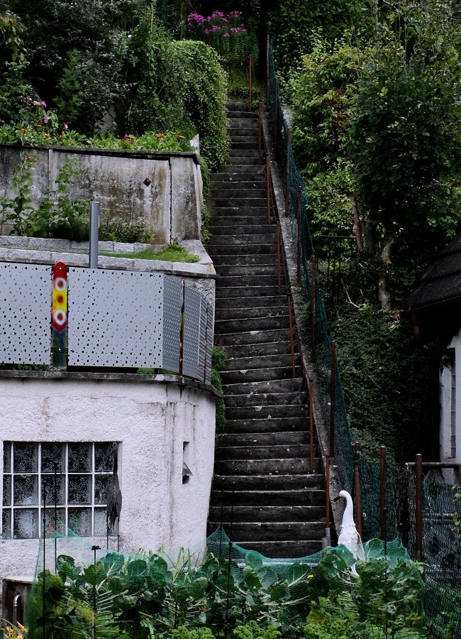 Wenn Reiher Treppen steigen