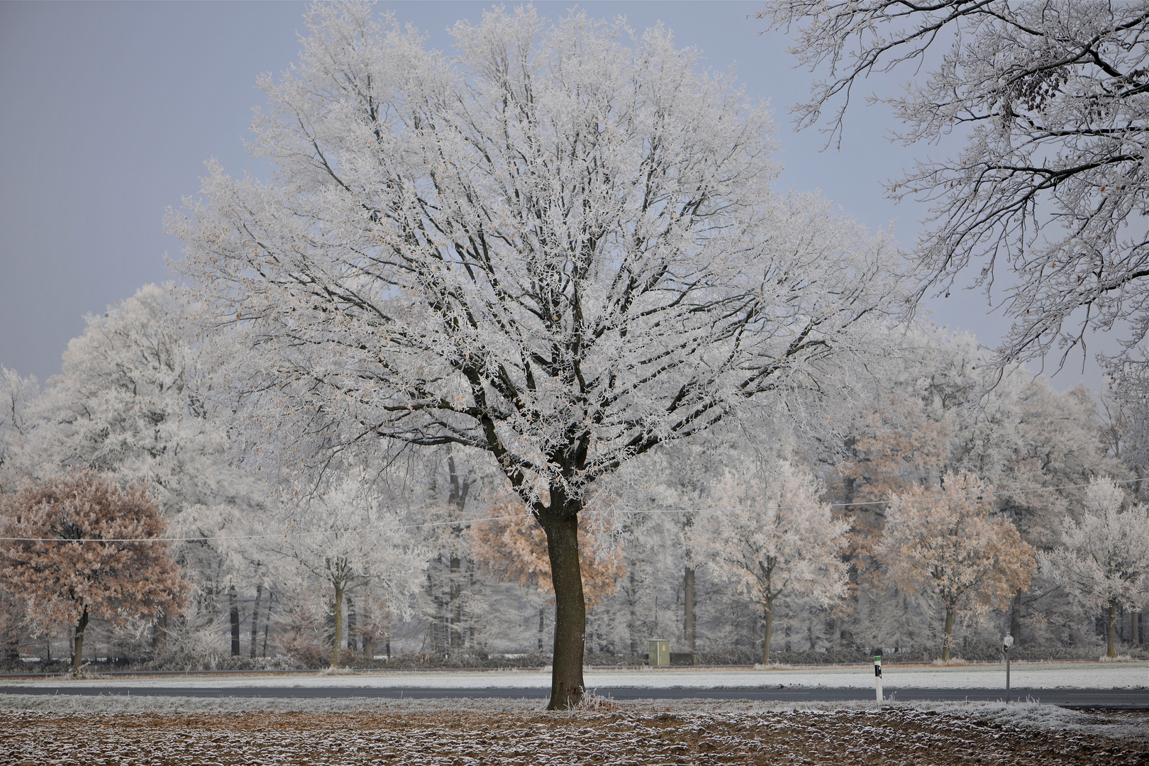 Wenn Schnee ......