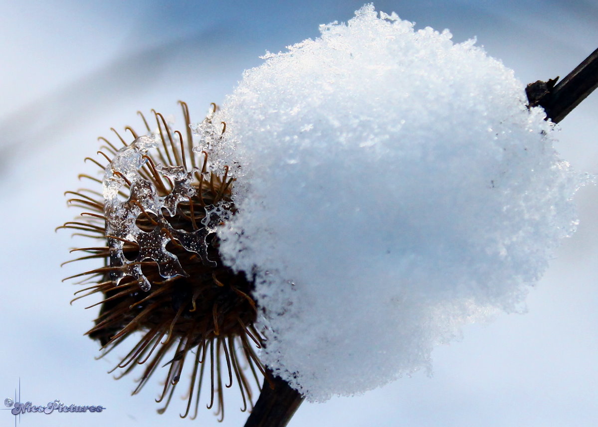 Wenn Schnee und Eis die Natur Küsst