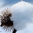 Wenn Schnee und Eis die Natur Küsst