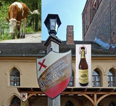 Wenn schon Bier...