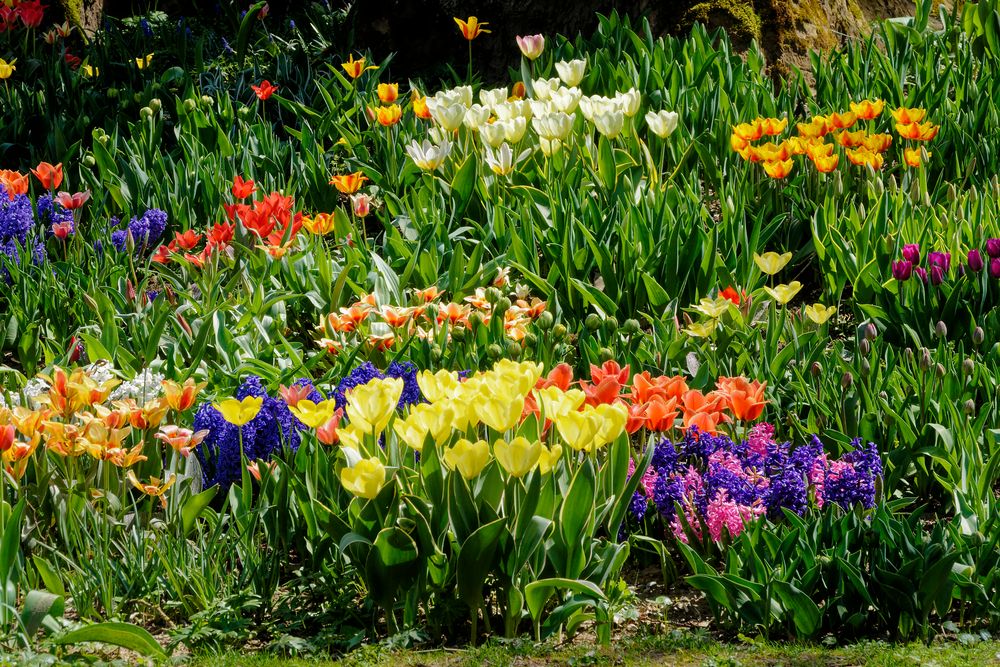 Wenn schon Frühling, dann richtig