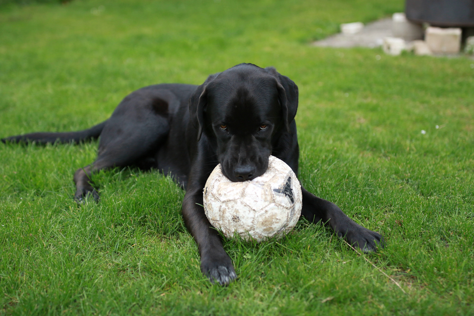 Wenn schon Fußball, dann so!