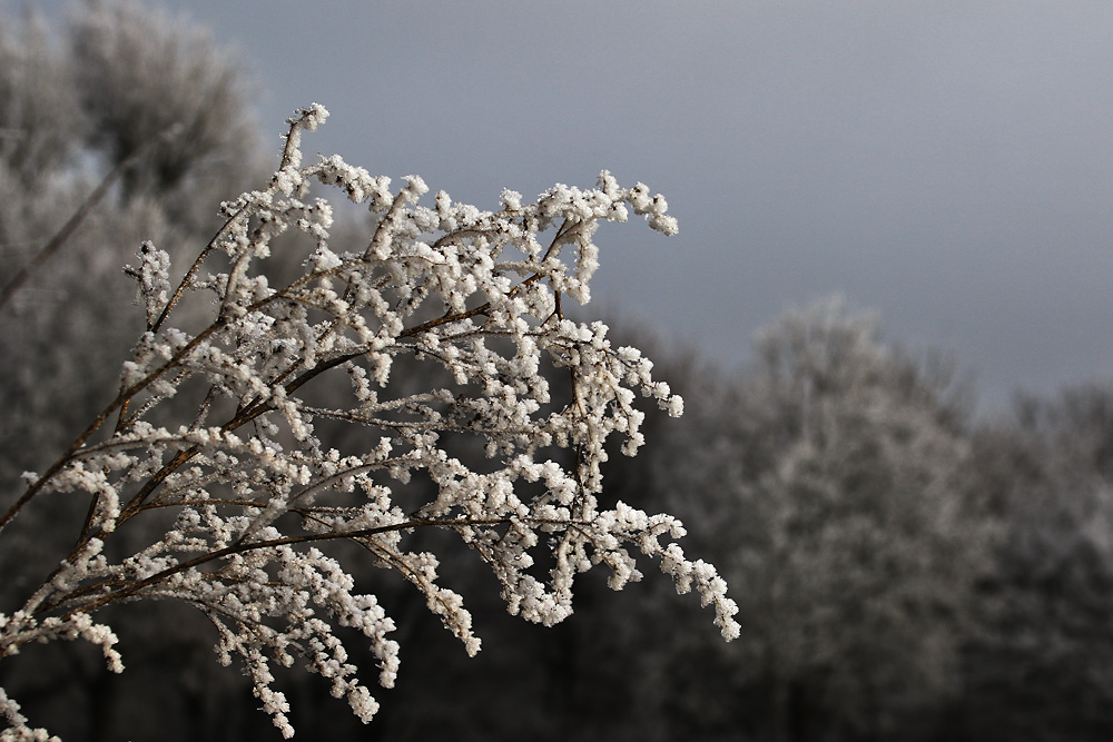 wenn schon kein Schnee....