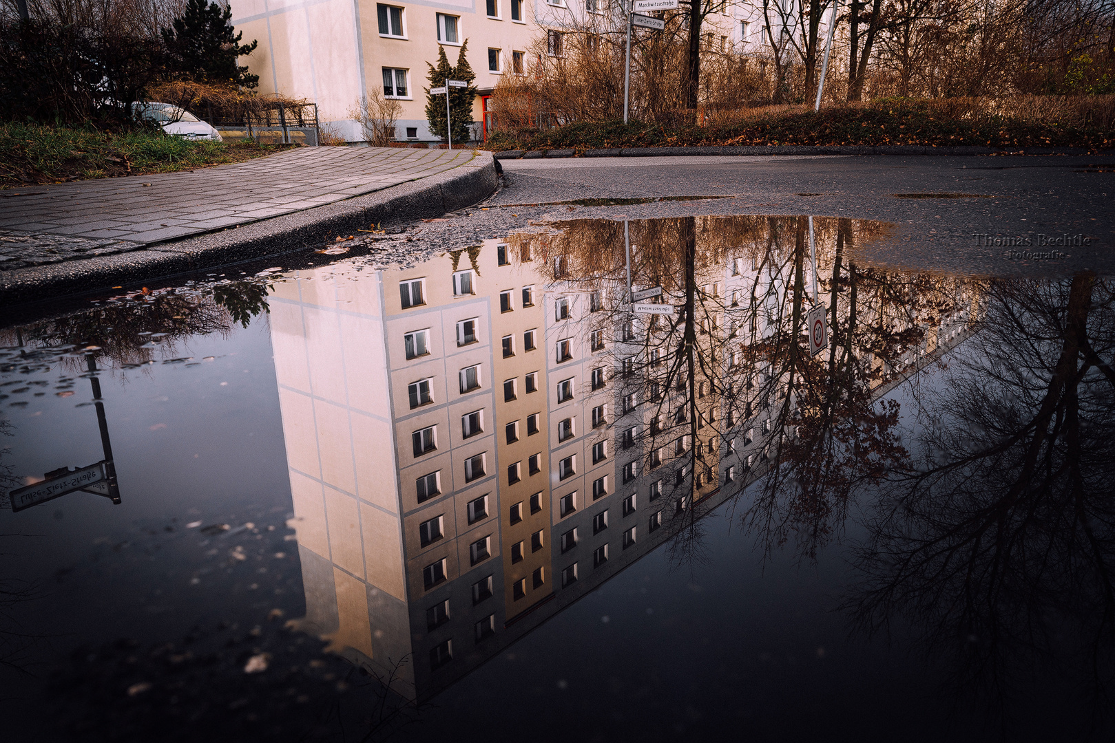 Wenn schon keine Spuren im Schnee, dann Reflektieren in der Pfütze.