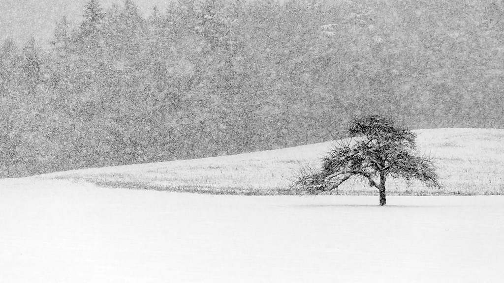 Wenn schon Schnee, dann richtig...