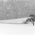 Wenn schon Schnee, dann richtig...