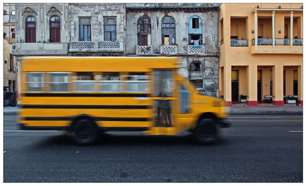 Wenn Schulbusse Fotografen fangen